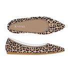 Pointed-Toe Ballet Flats (Aria 5)