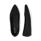 Pointed-Toe Ballet Flats (Aria 5)